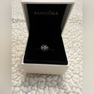 Pandora charm